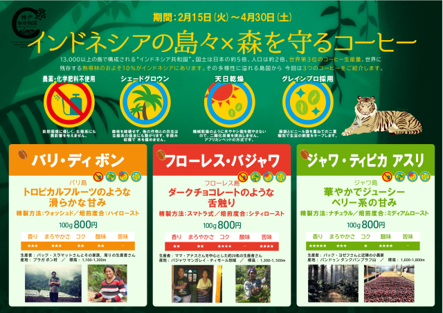 インドネシアの島々森を守るコーヒー
